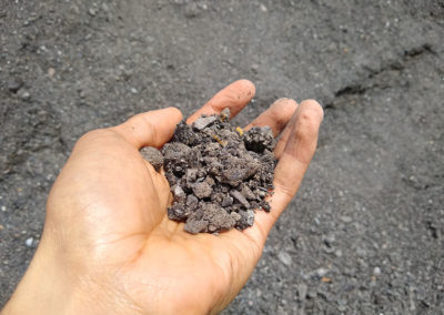 Photo of Asphalt Millings