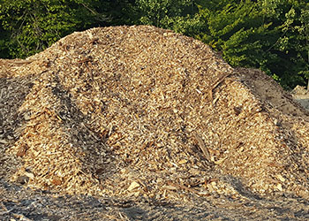 Cedar Wood Chips For Sale — Chester, Maine
