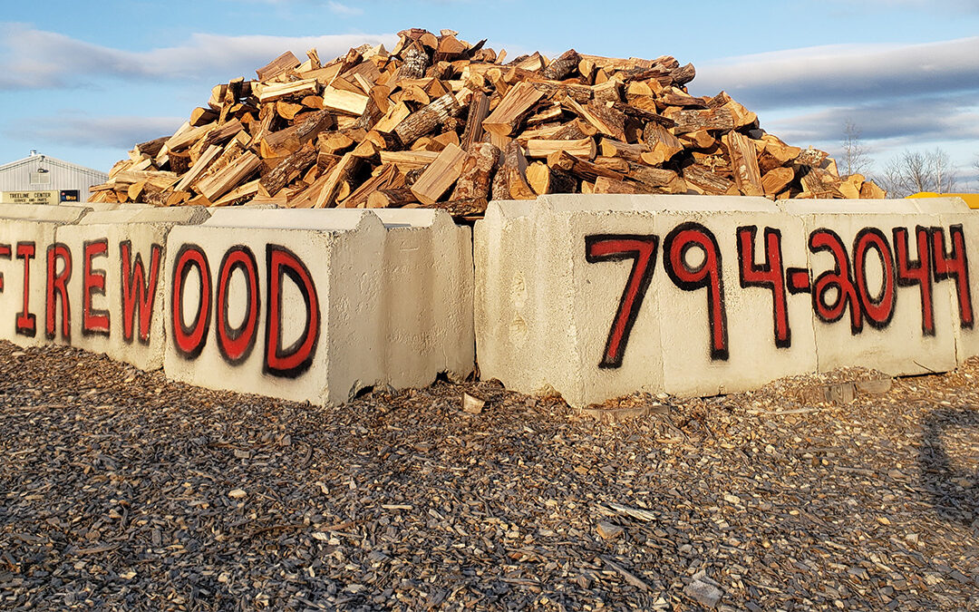 Cut and Split Firewood for Sale - Chester, Maine