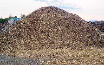 Mixed Wood Chips For Sale — Chester, Maine