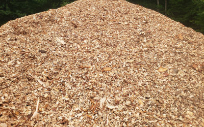 Hemlock Wood Chips For Sale — Chester, Maine