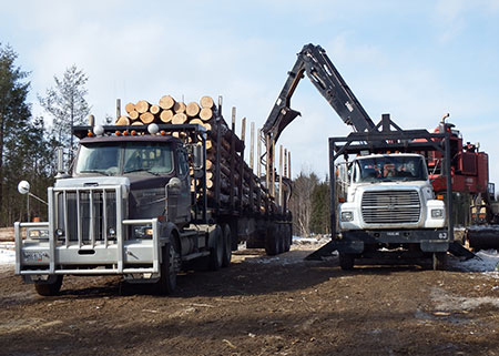 Photo of logs being loaded unto trailer..