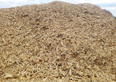 Photo of Spruce Chips