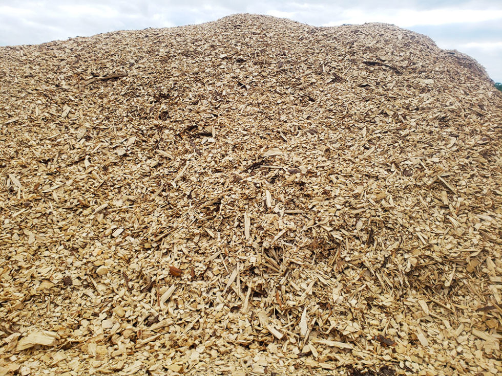 Spruce Wood Chips For Sale — Chester, Maine Treeline, Inc.