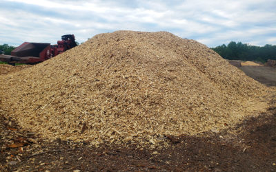 Spruce Wood Chips For Sale — Chester, Maine