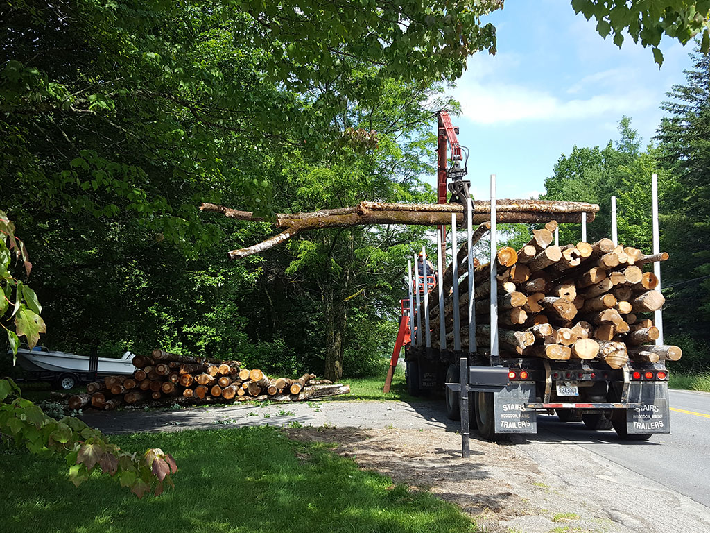 Photo of  Tractor Trailer Load of Tree Length Wood