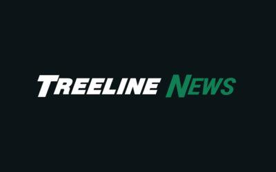 What’s New @ Treeline – Aug 2020
